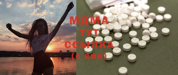 молекула духа Бородино