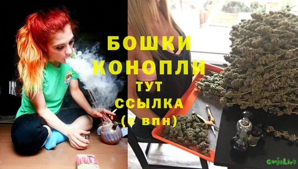 ПСИЛОЦИБИНОВЫЕ ГРИБЫ Бронницы