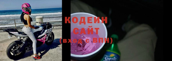 молекула духа Бородино