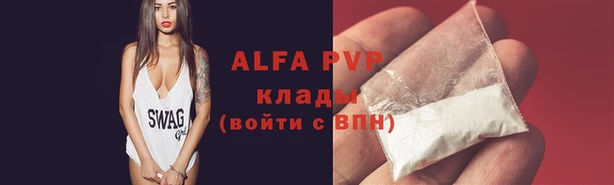 молекула духа Бородино