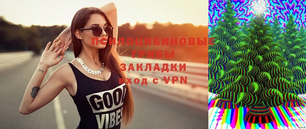 молекула духа Бородино