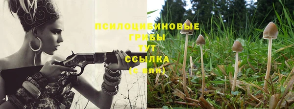 ПСИЛОЦИБИНОВЫЕ ГРИБЫ Бронницы