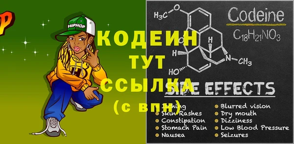 молекула духа Бородино