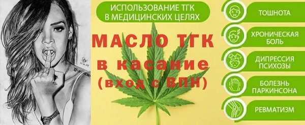 молекула духа Бородино