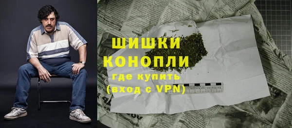 ПСИЛОЦИБИНОВЫЕ ГРИБЫ Бронницы