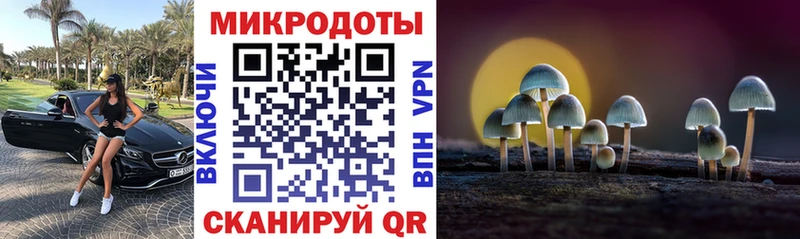 Псилоцибиновые грибы GOLDEN TEACHER  наркота  Данков 